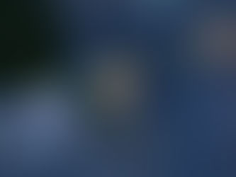 Pokemon Legends: Z-A Mega Dimensions DLC Guide - "Side Mission 143 - Which Meowth Do You Purrfer?"