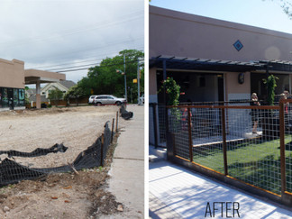 Steel Works: Austin Pets Alive! in Tarrytown