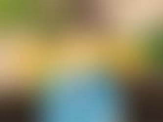 Pokemon Legends: Z-A Guide "Main Mission 28 - A Rogue Mega Altaria"