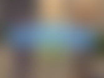 Pokemon Legends: Z-A Guide "Side Mission 102 - A Chilling Challenge"