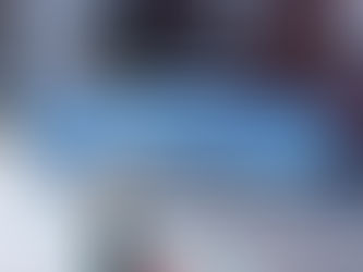 Pokemon Legends: Z-A Guide "Side Mission 016 - The Budew Show"