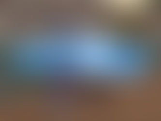 Pokemon Legends: Z-A Guide "Side Mission 114 - A Feather from Skamory"