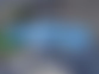 Pokemon Legends: Z-A Guide "Side Mission 010 - Skiddo's Fragrant Leaves"