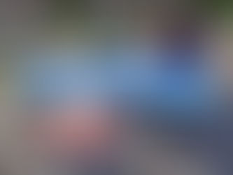 Pokemon Legends: Z-A Guide "Side Mission 036 - Some Friendly Competition"