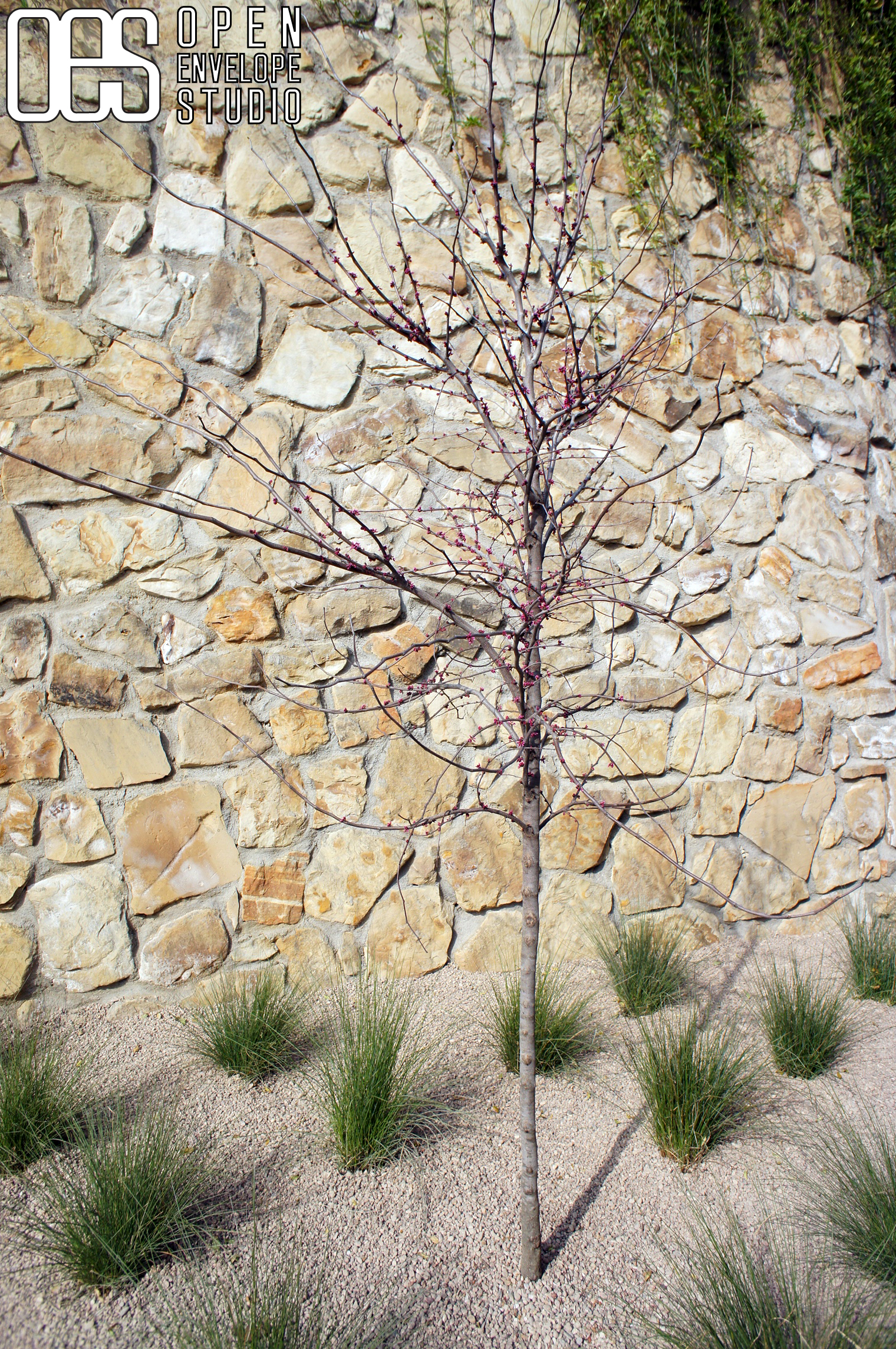 cozzolino residence