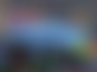 Pokemon Legends: Z-A Guide "Side Mission 080 - A Shocking Territorial Dispute"