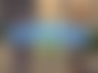 Pokemon Legends: Z-A Guide "Side Mission 103 - Facing the Furfrou League"