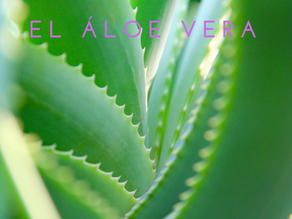 Da tanto y pide tan poco...