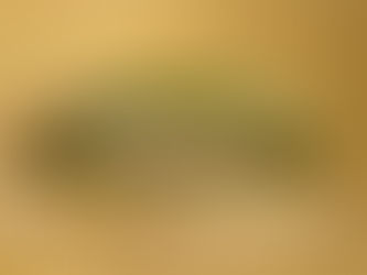 ¿Qué hay de cierto en el Áloe vera?