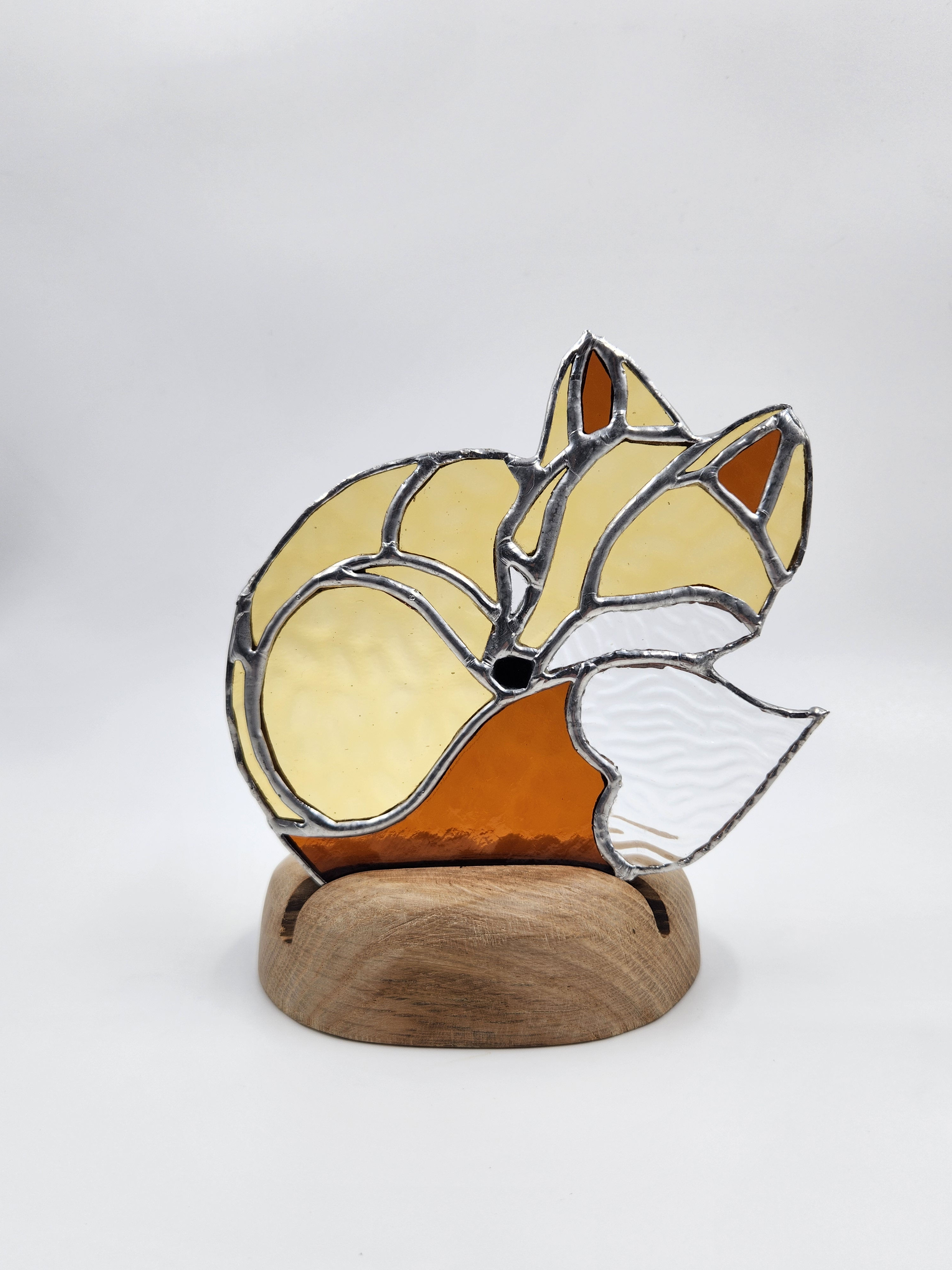 Renard endormi 