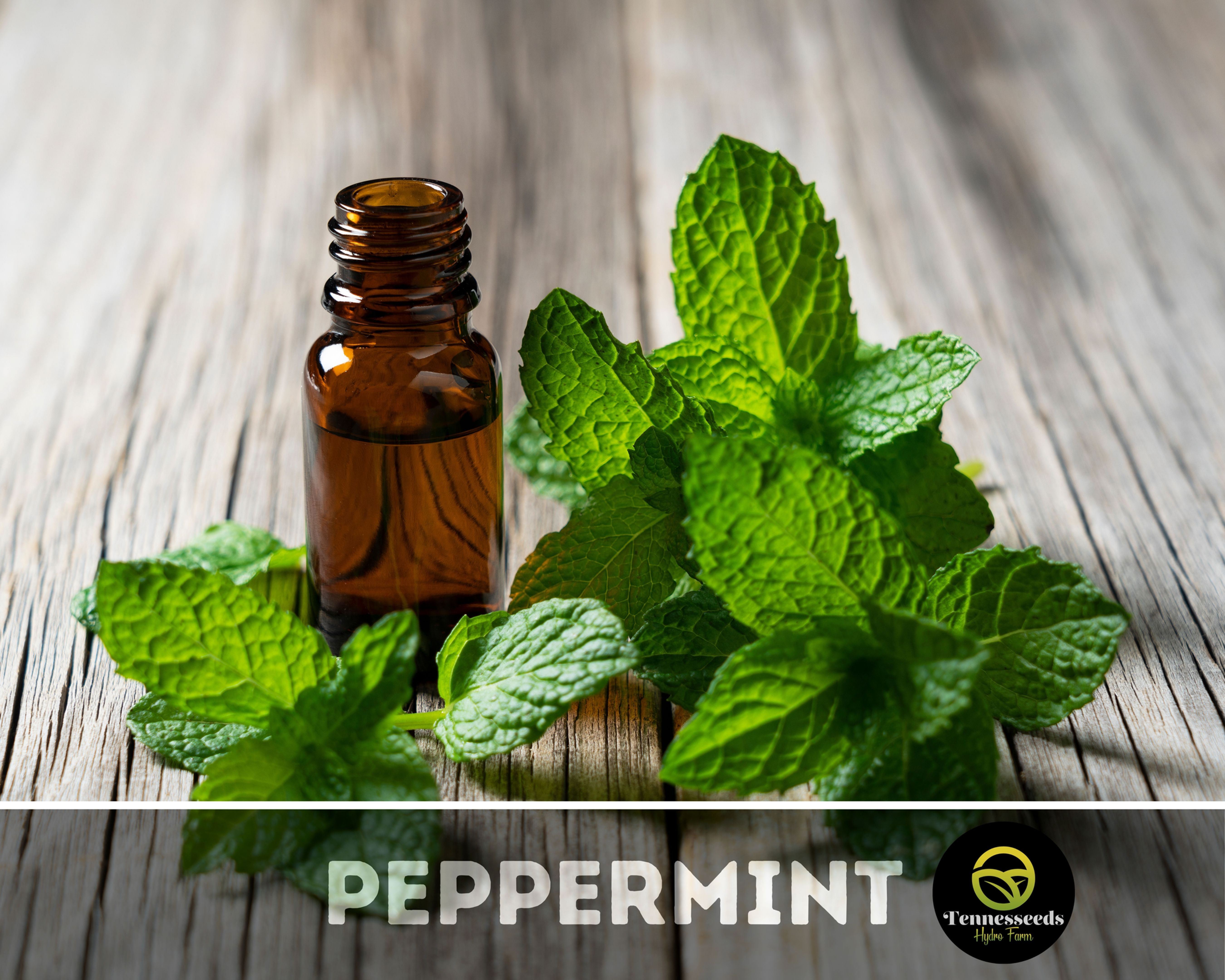 Peppermint