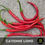 Thumbnail: Cayenne Long Pepper