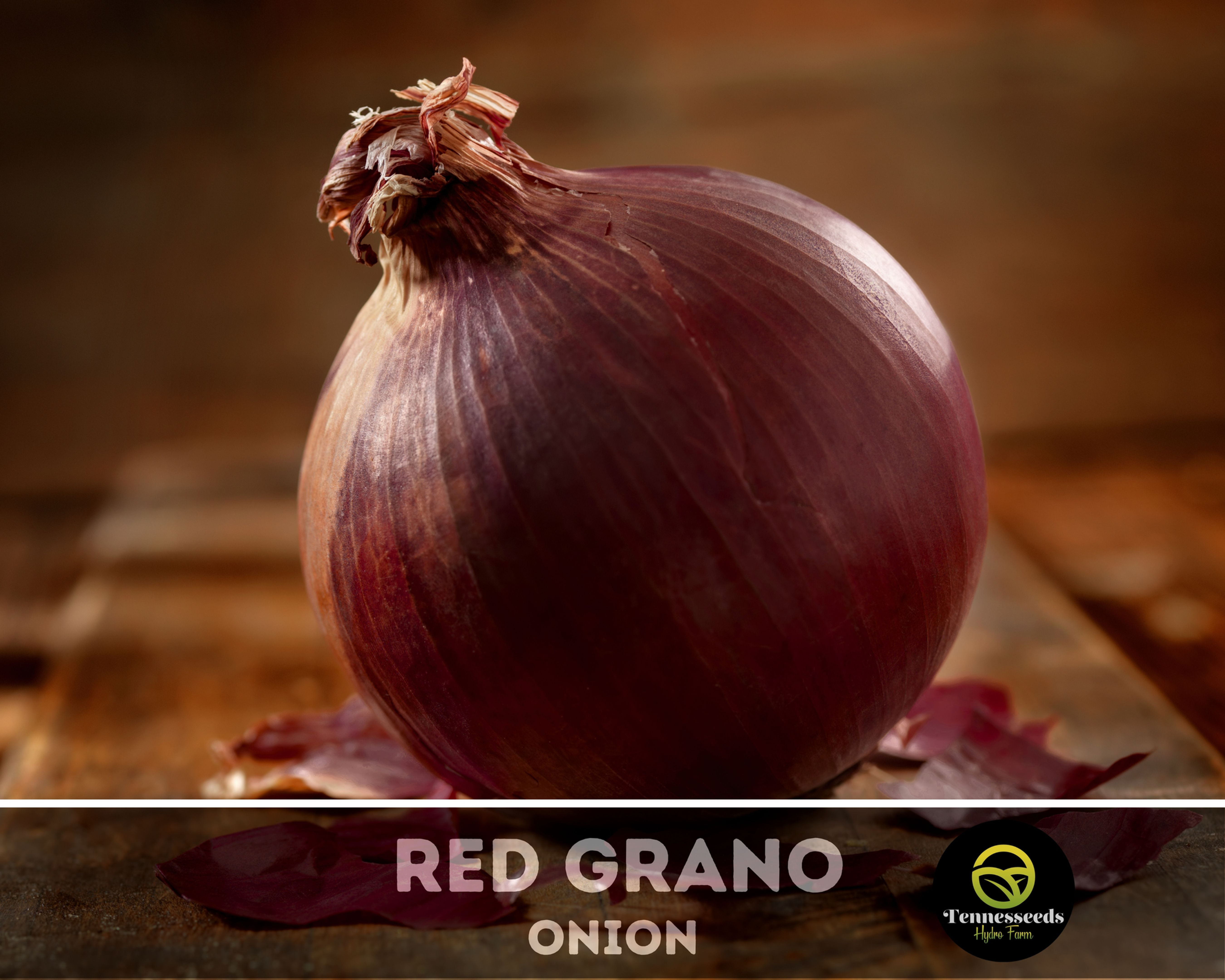 Red Grano Onion