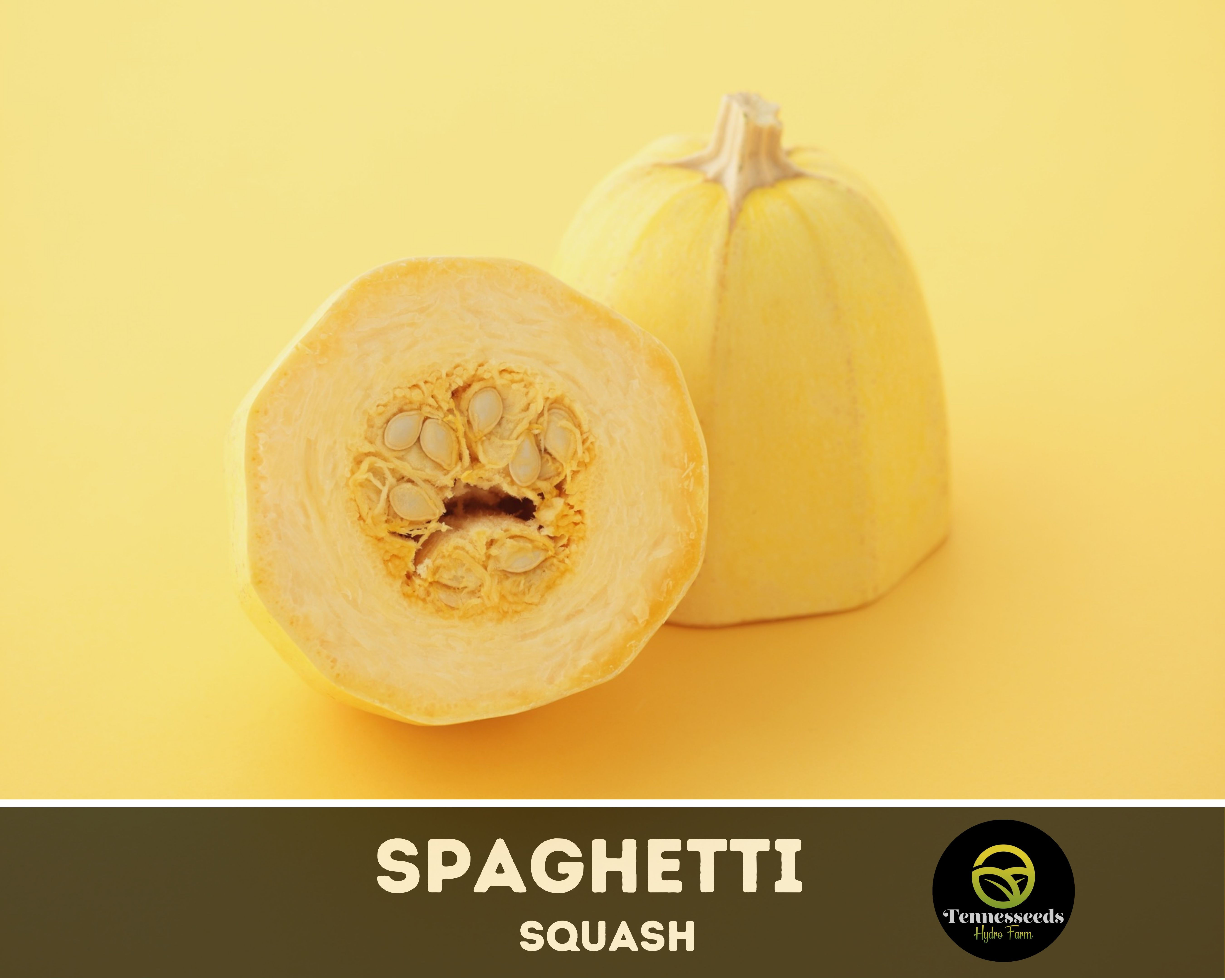 Spaghetti Squash Seeds