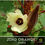 Thumbnail: Jing Orange Okra Seeds