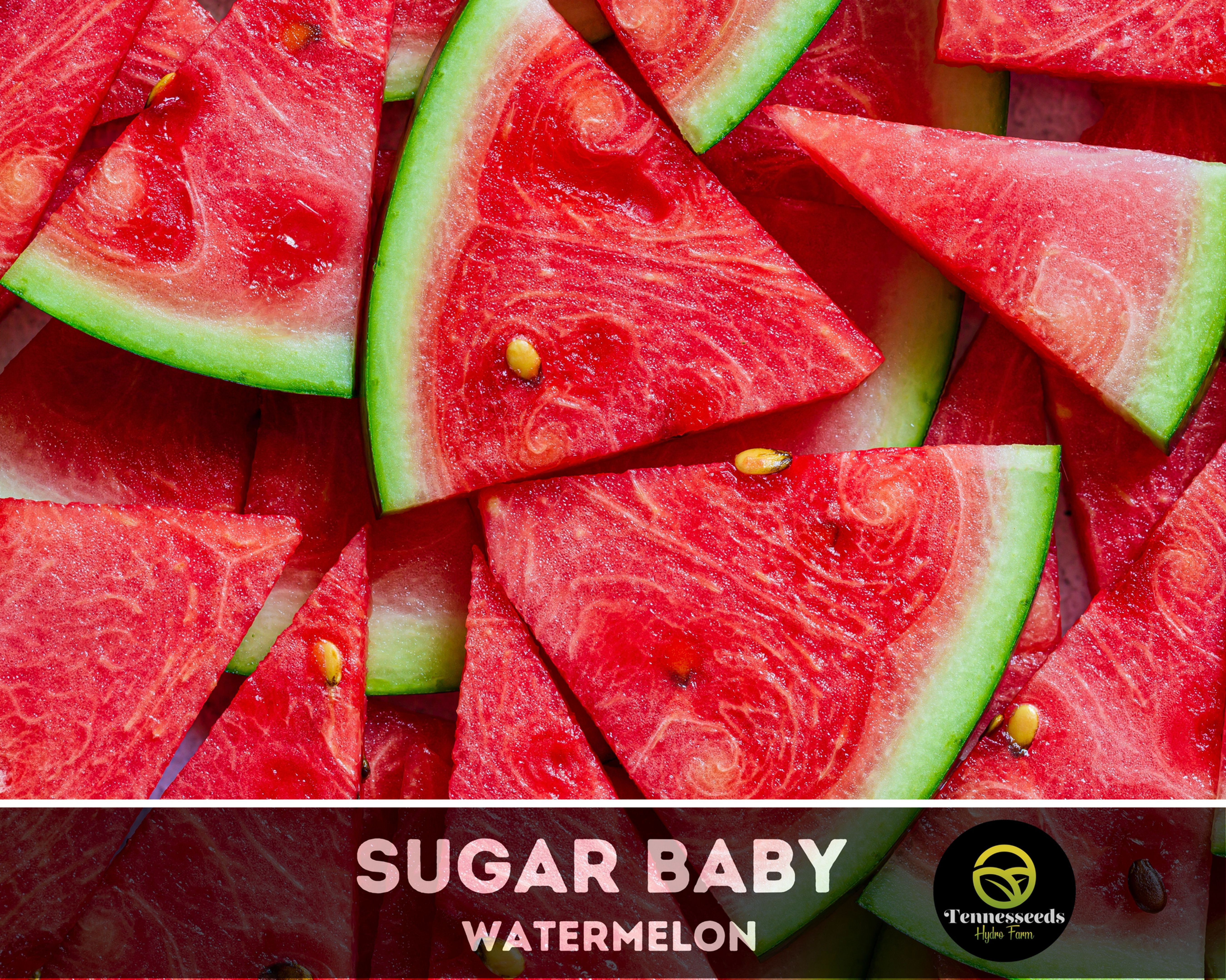 Sugar Baby Watermelon