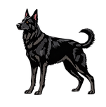 Leads and Feeds Dog Training Logo, A Black German Shepherd Dog standing confidently and facing left