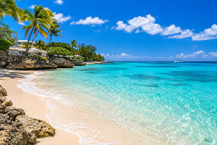 Barbados Inspired Coastal Image.png