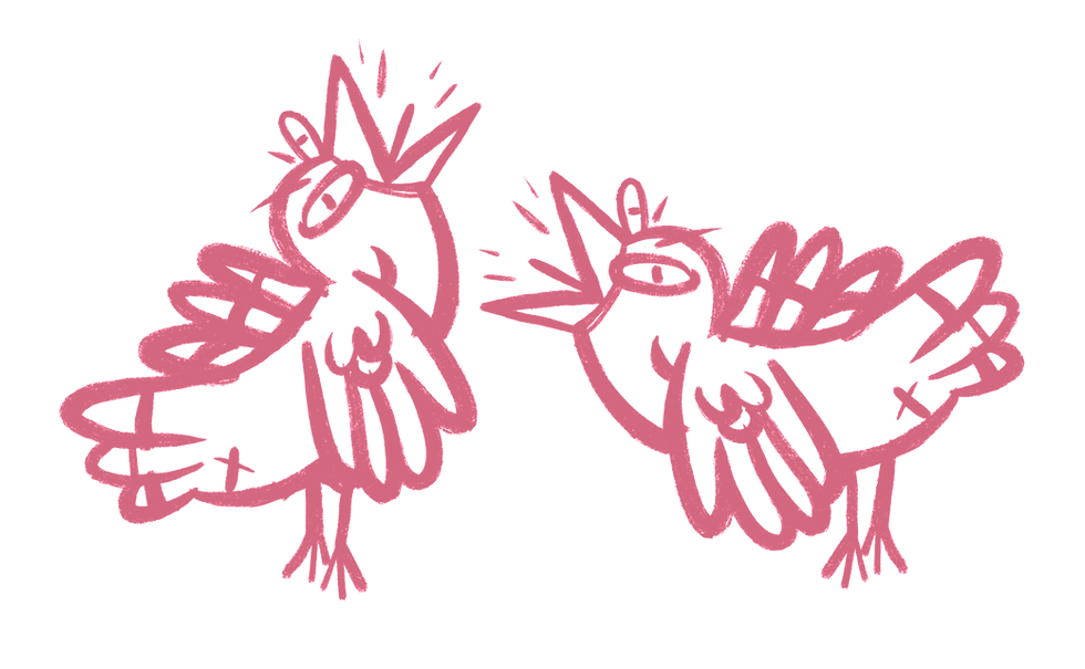 BIRDS SQWARKING_edited_edited.png