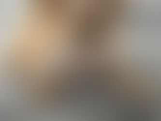 The True Cost of Owning a Maltipoo: Beyond the Purchase Price