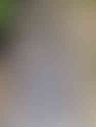 208374146_1964064020413648_4853499733133316582_n