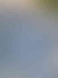 290851750_2244664869020227_4639561904068455181_n