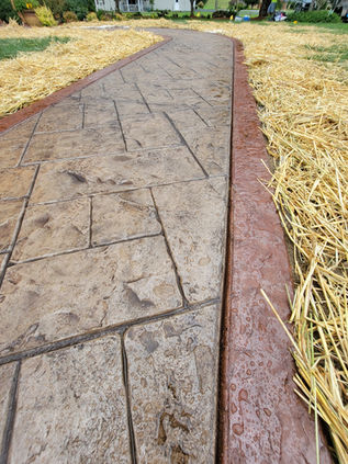 297397509_2273129512840429_6875132784846769224_n