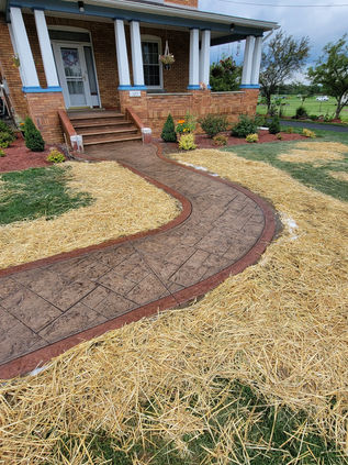 297246967_2273114116175302_4805904544375814756_n