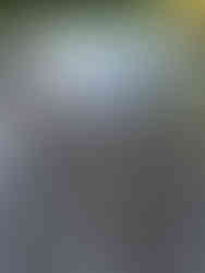 290741162_2244664159020298_1680603192536971982_n