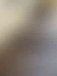 67736632_1352418544911535_1773792356189863936_n