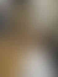 67429285_1352418771578179_1698310238697947136_n