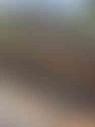 288539275_2234978573322190_7562039972363869222_n