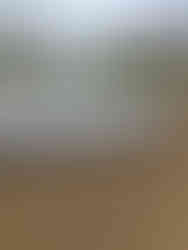 457366221_974623384465534_278581892383732816_n