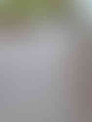 279293816_2194935423993172_6033700011803098239_n