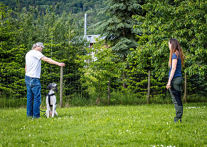 Hundeschule Gruppenunterricht Alltagstraining