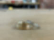 IMG_7547.JPEG