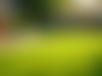 Revitalize Your Lawn with Our Soil Restoration Services