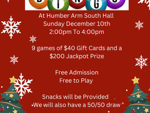 BINGO OPEN TO ALL COMMUNITY Age 55+