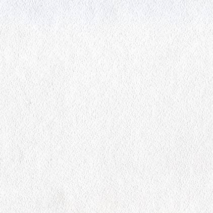 pristine painting logo (3).png