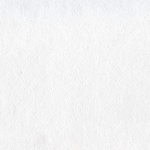 pristine painting logo (3).png