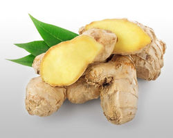 Le Gingembre - Gừng