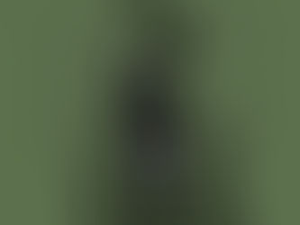 ACCOUNT I - The Gloam Cats | Watchers of the Wood
