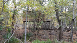 Cabin