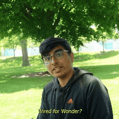 GIF Updated (1).gif