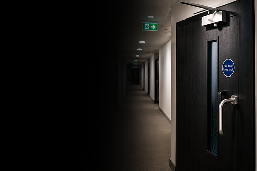 fire door inspection top image.png