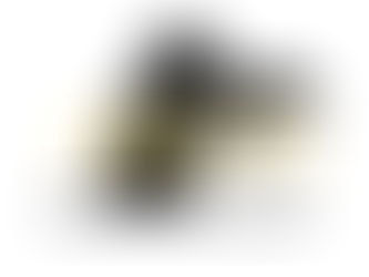 10월8일 (목) 오늘의 수업