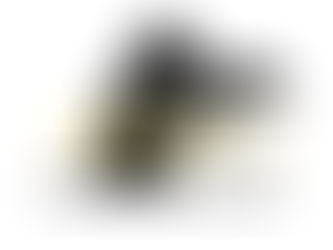 8월5일 (수) 오늘의 수업