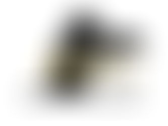 9월23일 (수) 오늘의 수업