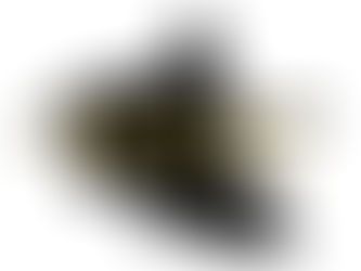 11월12일 (목) 오늘의 수업