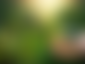 How PAS 2080 can give you a bidding edge